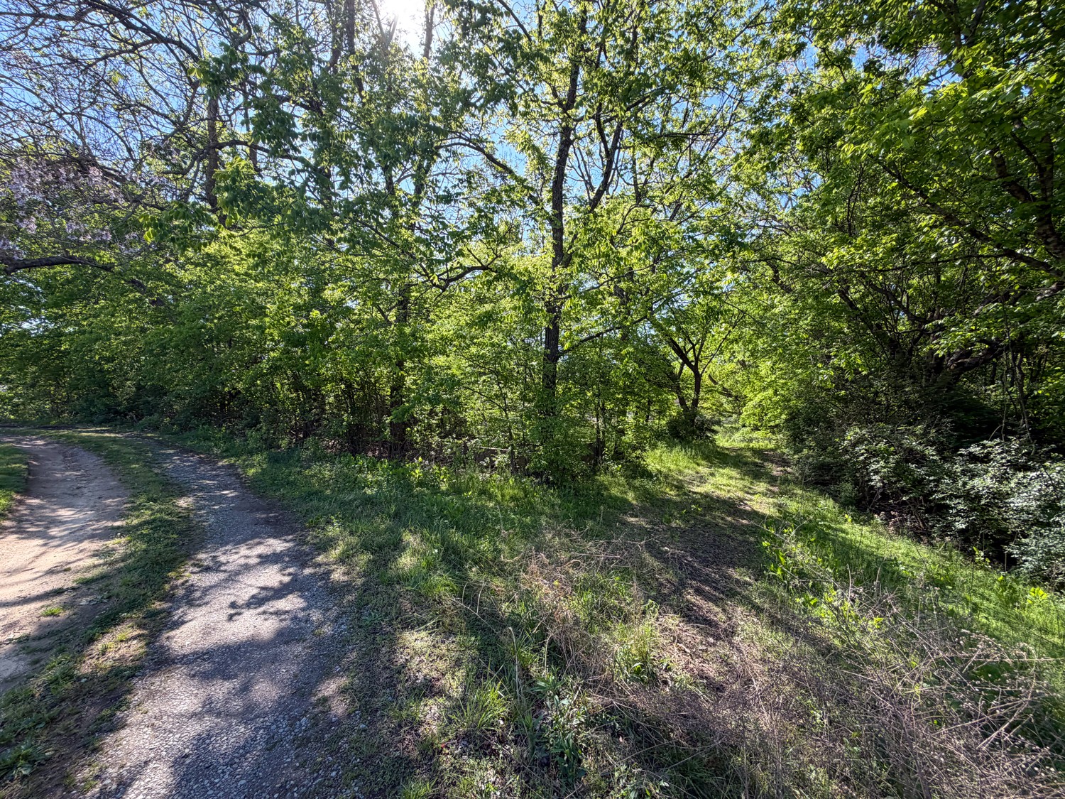 1185 Knowling Loop Talbott, TN 37877 - Photo 83 of 96