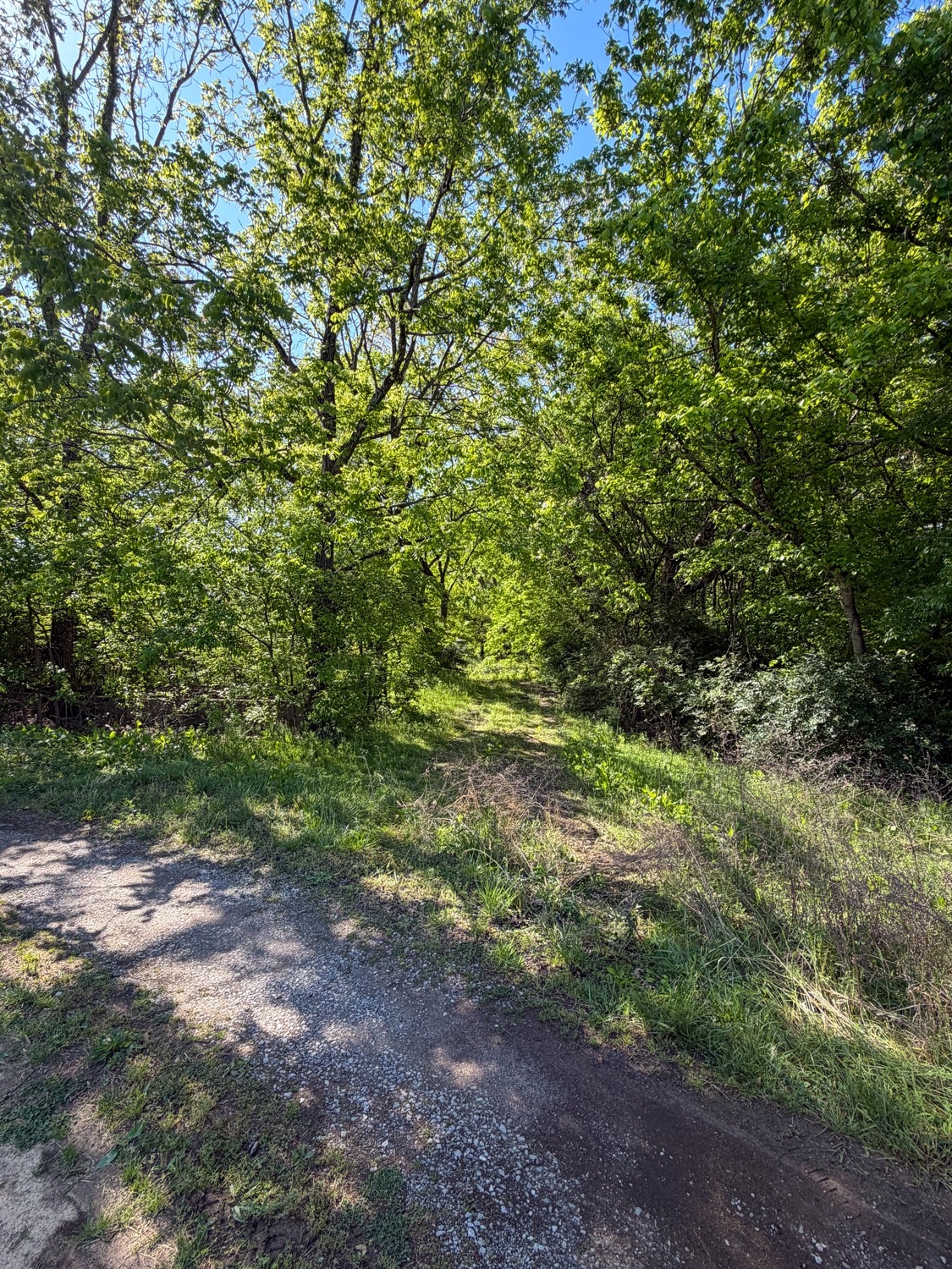 1185 Knowling Loop Talbott, TN 37877 - Photo 84 of 96
