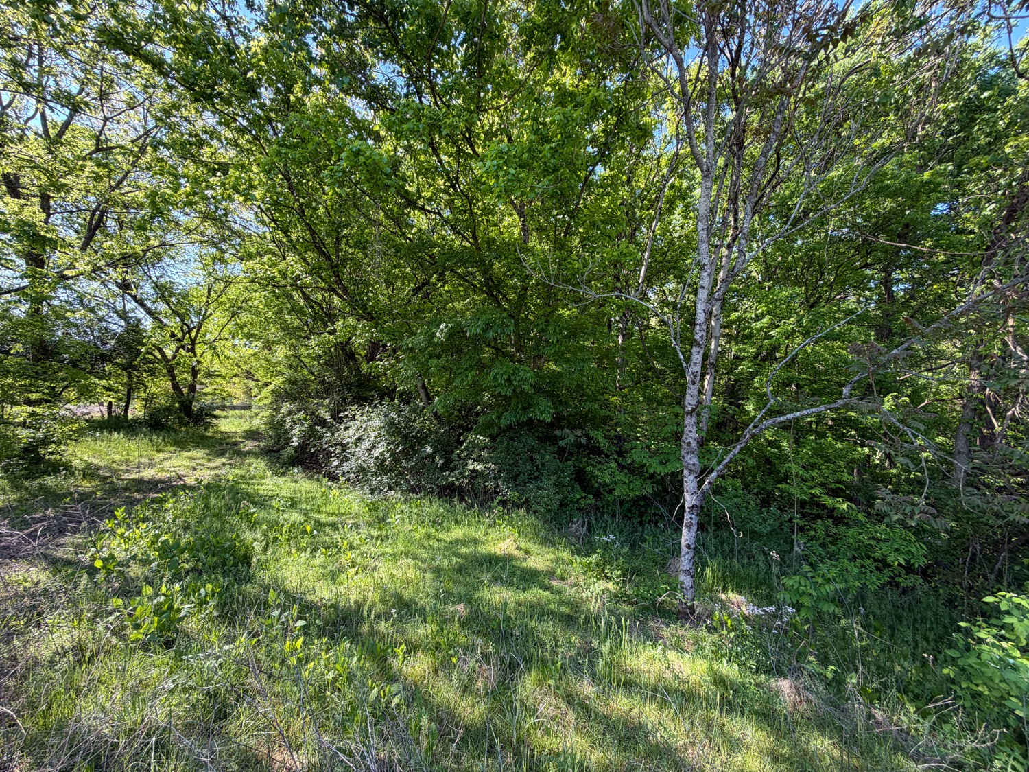 1185 Knowling Loop Talbott, TN 37877 - Photo 85 of 96