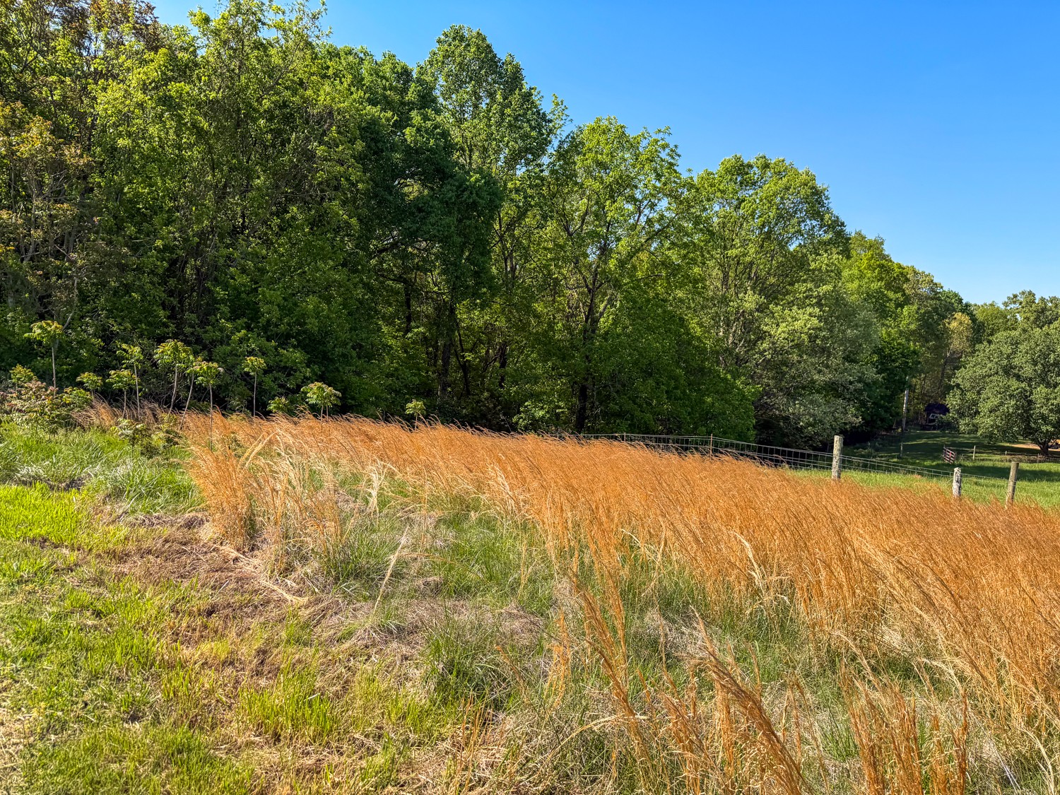 1185 Knowling Loop Talbott, TN 37877 - Photo 87 of 96