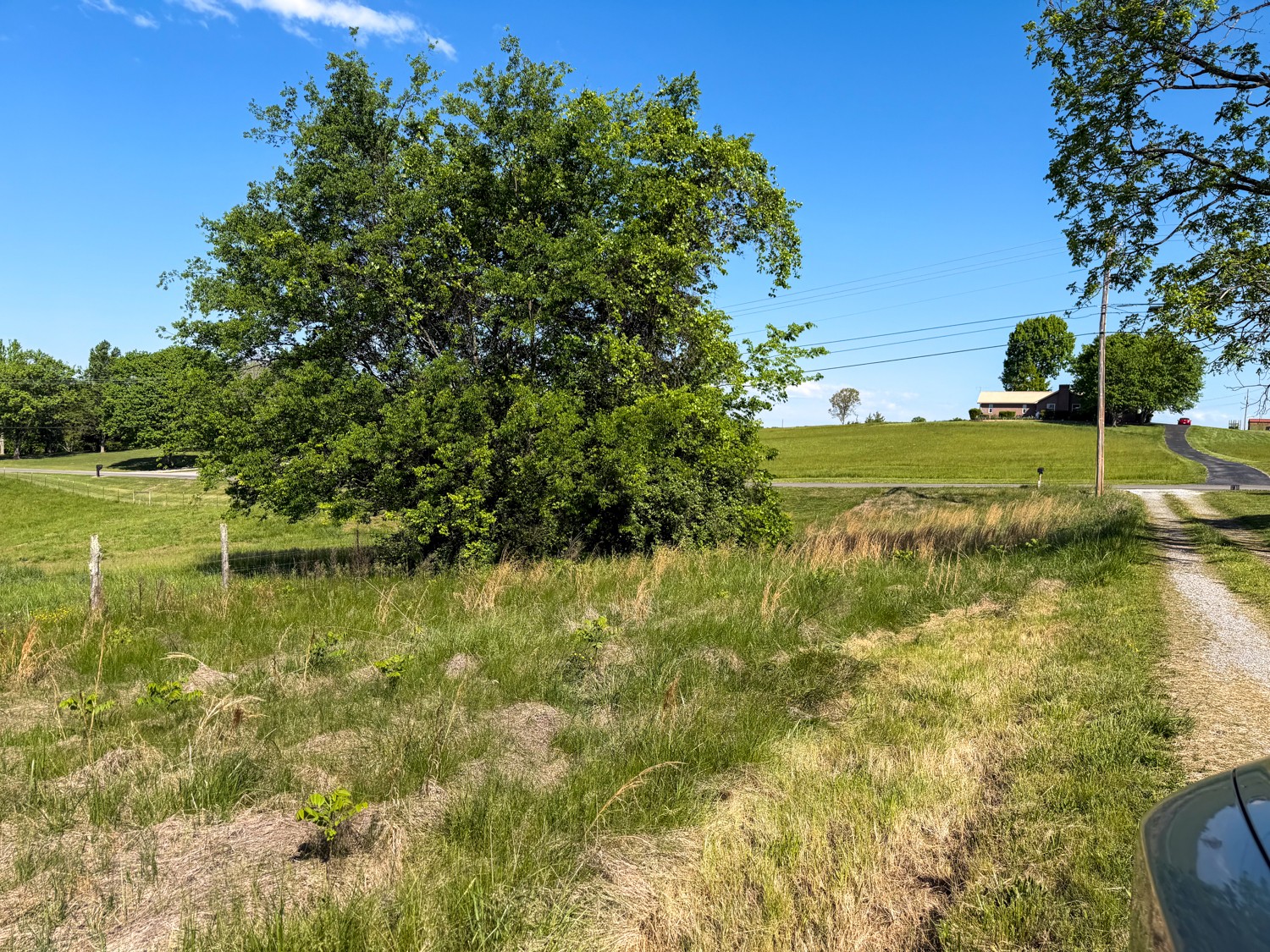 1185 Knowling Loop Talbott, TN 37877 - Photo 88 of 96