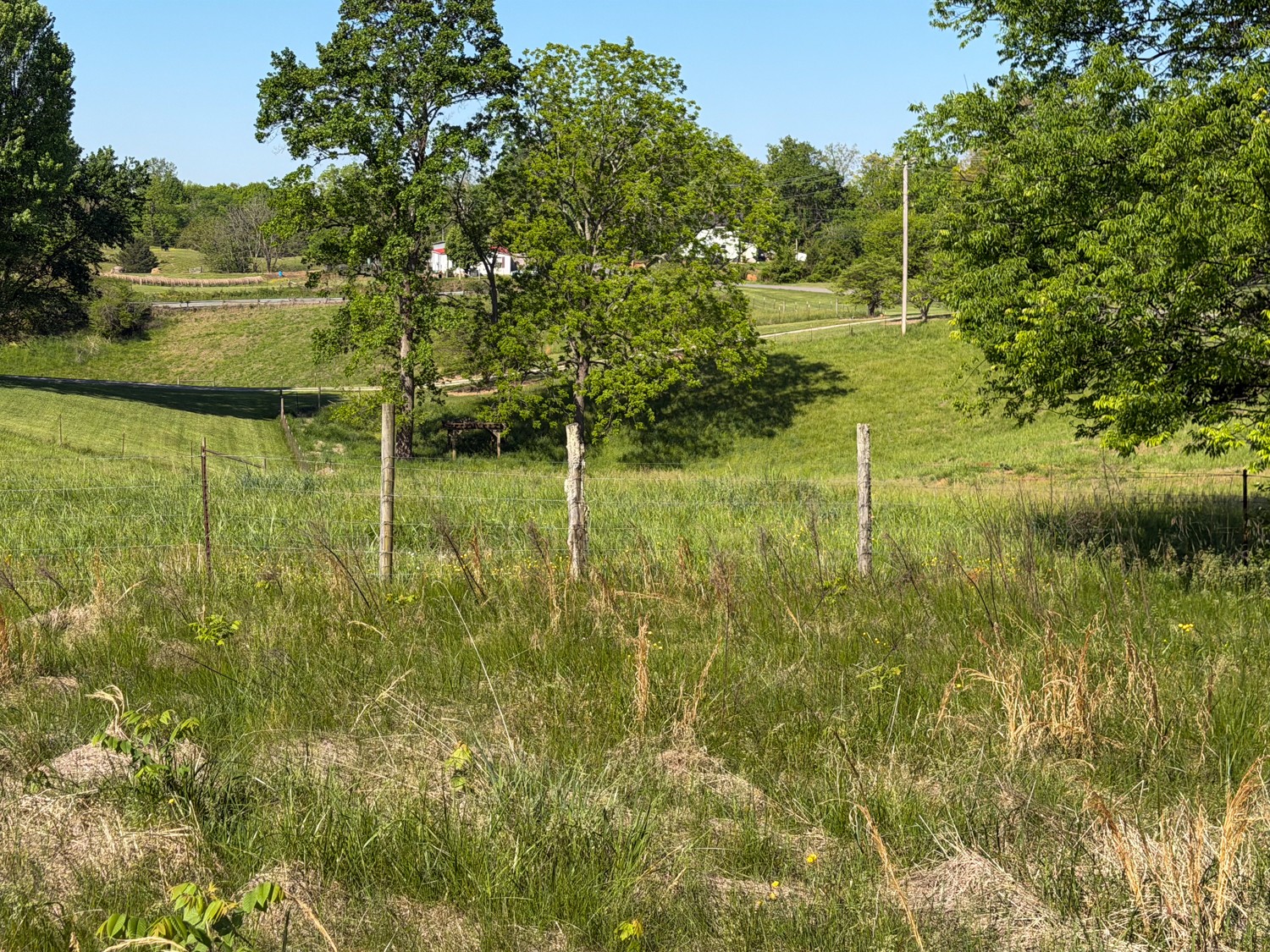 1185 Knowling Loop Talbott, TN 37877 - Photo 89 of 96