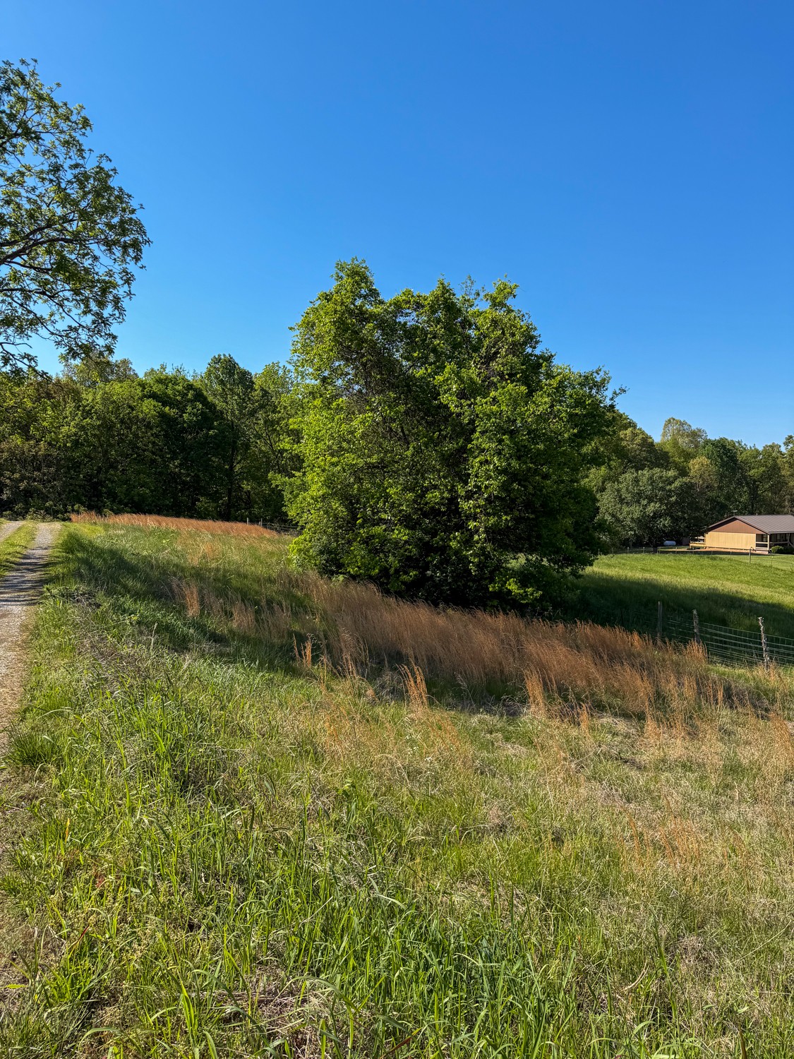 1185 Knowling Loop Talbott, TN 37877 - Photo 90 of 96