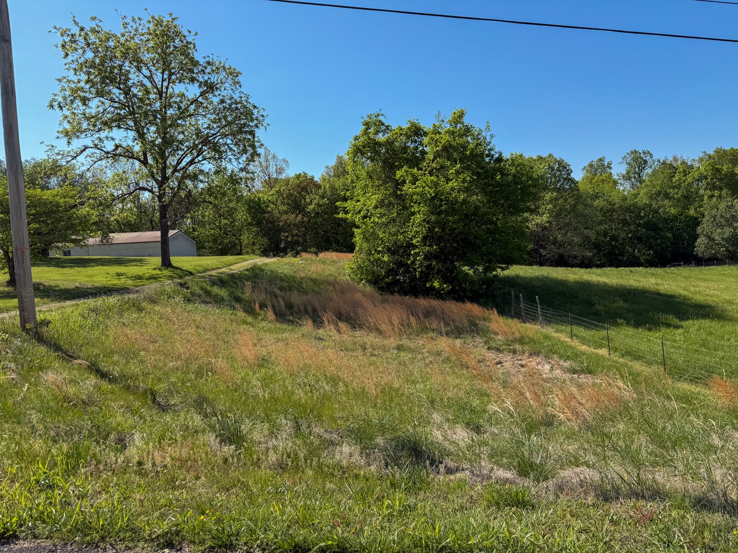 1185 Knowling Loop Talbott, TN 37877 - Photo 92 of 96