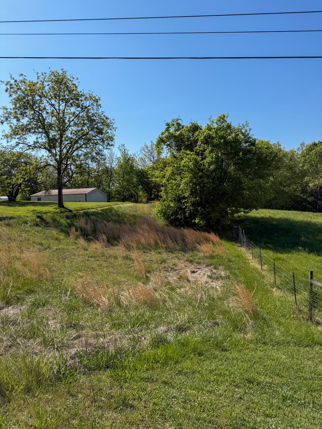 1185 Knowling Loop Talbott, TN 37877 - Photo 93 of 96