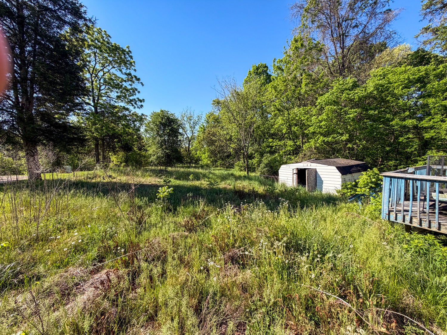 1185 Knowling Loop Talbott, TN 37877 - Photo 10 of 96