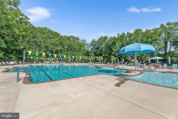 a view of swimming pool and lounge chair