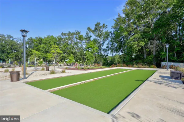 a view of a park with large trees
