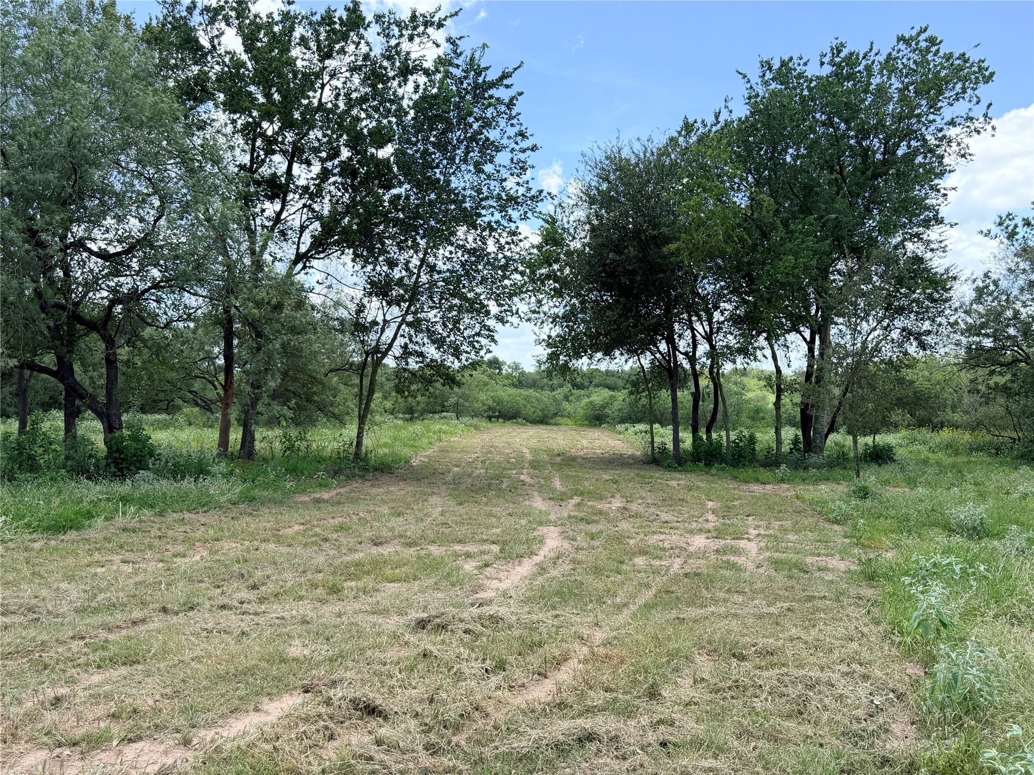 150 Pumper Road Luling, TX 78648 - Photo 10 of 24 A cleared path winds through verdant landscape, inviting exploration of the expansive acreage.