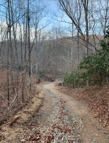 0 Hurds Branch Road Ferrum, VA 24088 - Photo 13 of 17 a view of a yard with trees