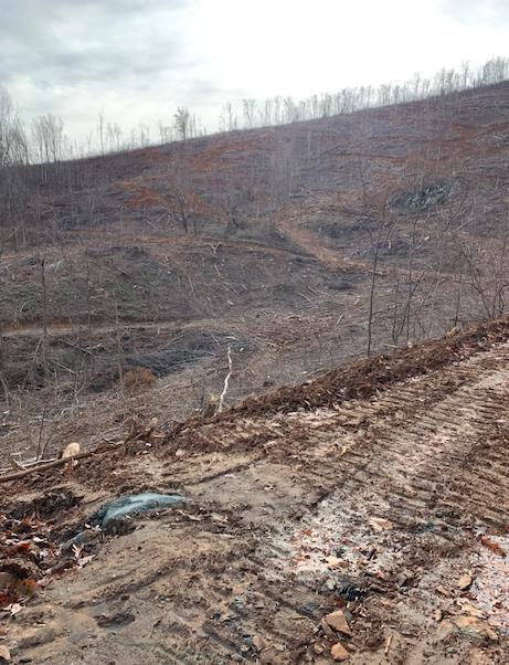 0 Hurds Branch Road Ferrum, VA 24088 - Photo 4 of 17 a view of a dry yard