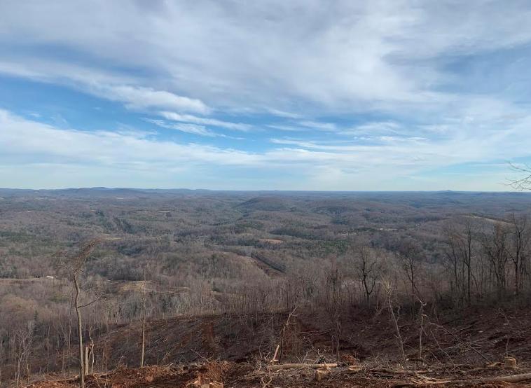 0 Hurds Branch Road Ferrum, VA 24088 - Photo 7 of 17 a view of a yard