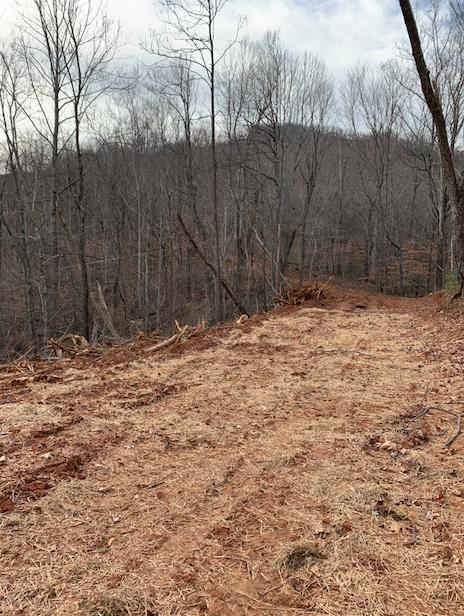 0 Hurds Branch Road Ferrum, VA 24088 - Photo 8 of 17