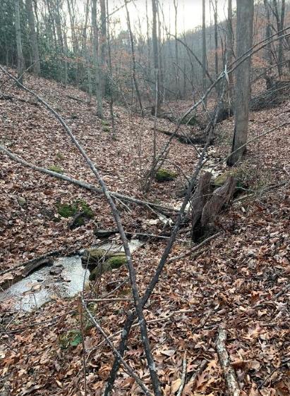 0 Hurds Branch Road Ferrum, VA 24088 - Photo 10 of 17 a view of a forest with trees