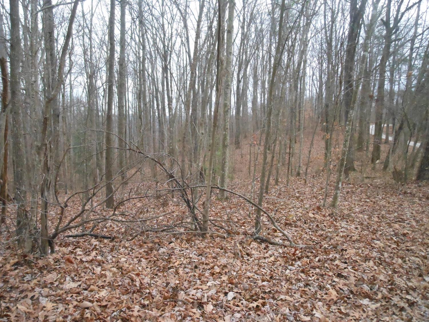 100 Amos Ridge Road Frenchburg, KY 40322 - Photo 7 of 11 Photo 7