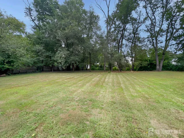 a view of a green field with trees in the background