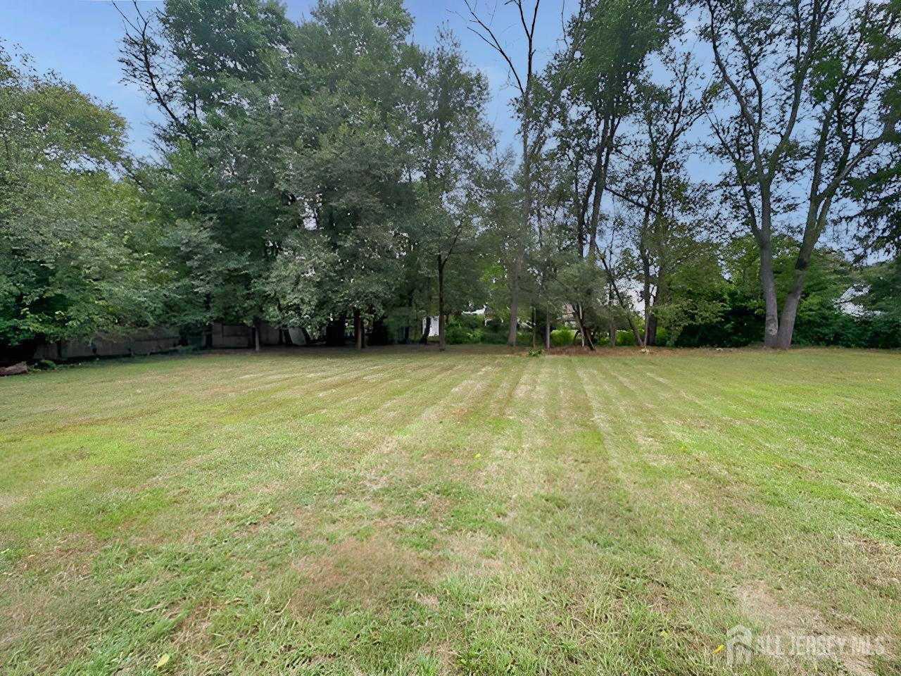 12 Ziff Lane West Windsor, NJ 08550 - Photo 17 of 19 a view of a green field with trees in the background
