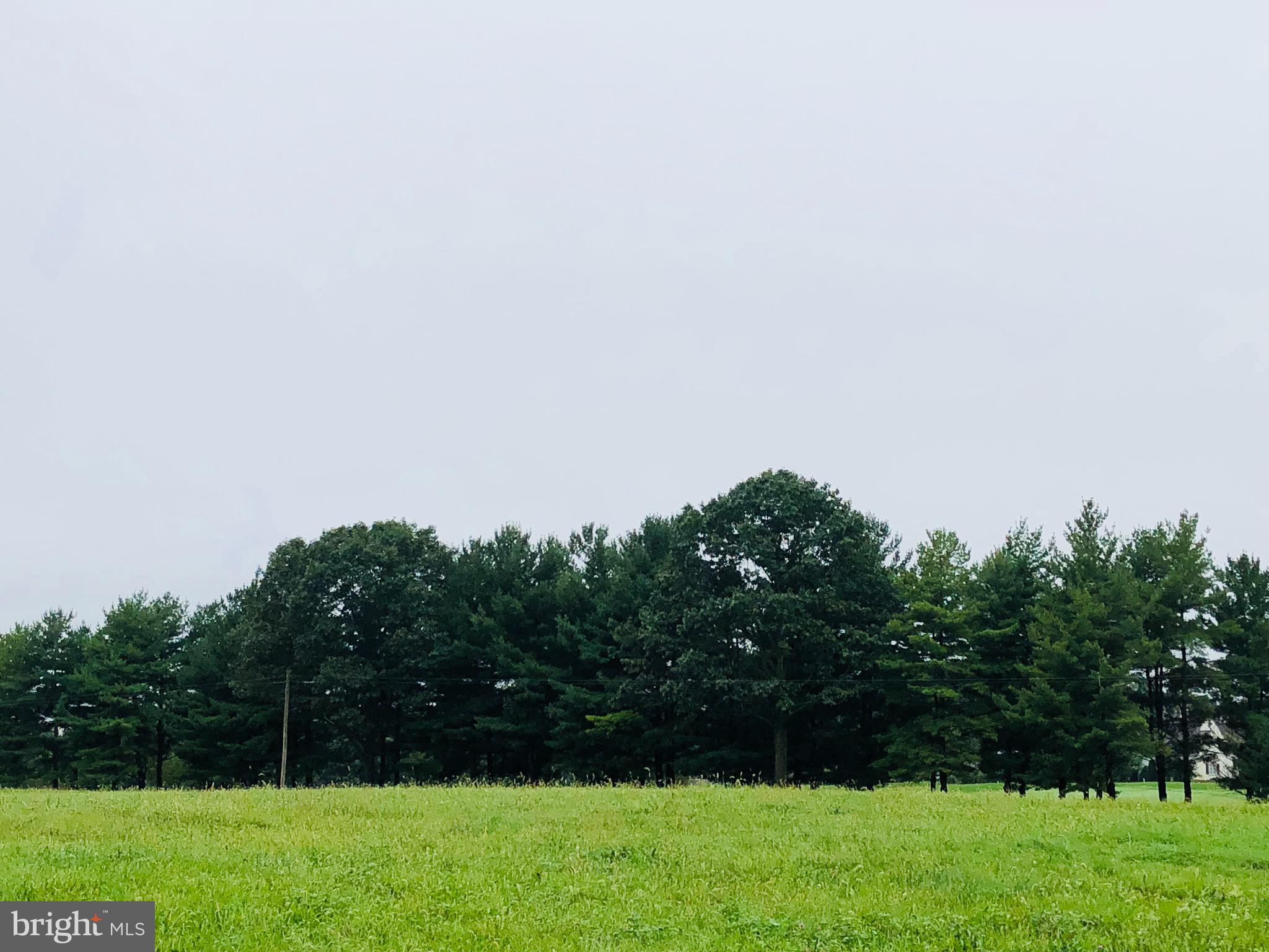 Lot 38 Honey Farm Road Lititz, PA 17543 - Photo 1 of 1