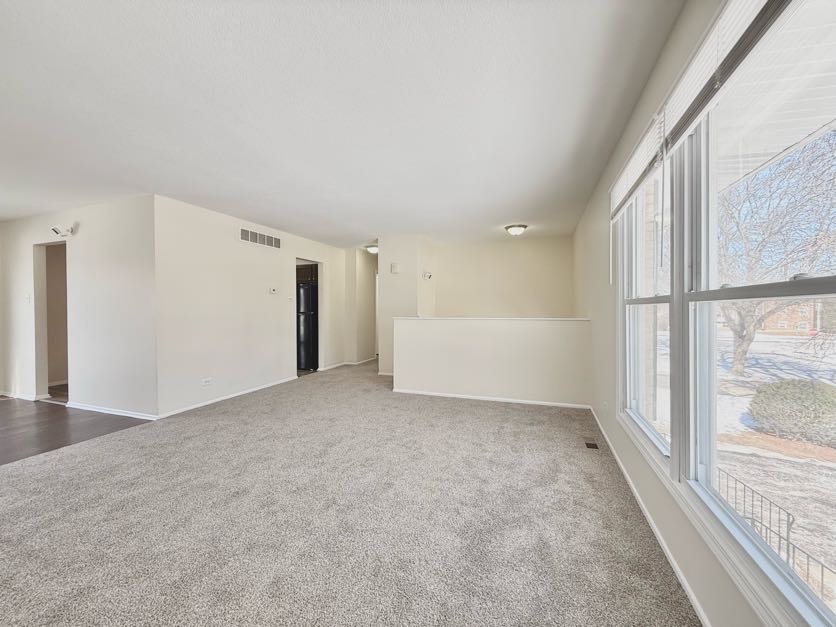 21616 Richmond Road Matteson, IL 60443 - Photo 2 of 17