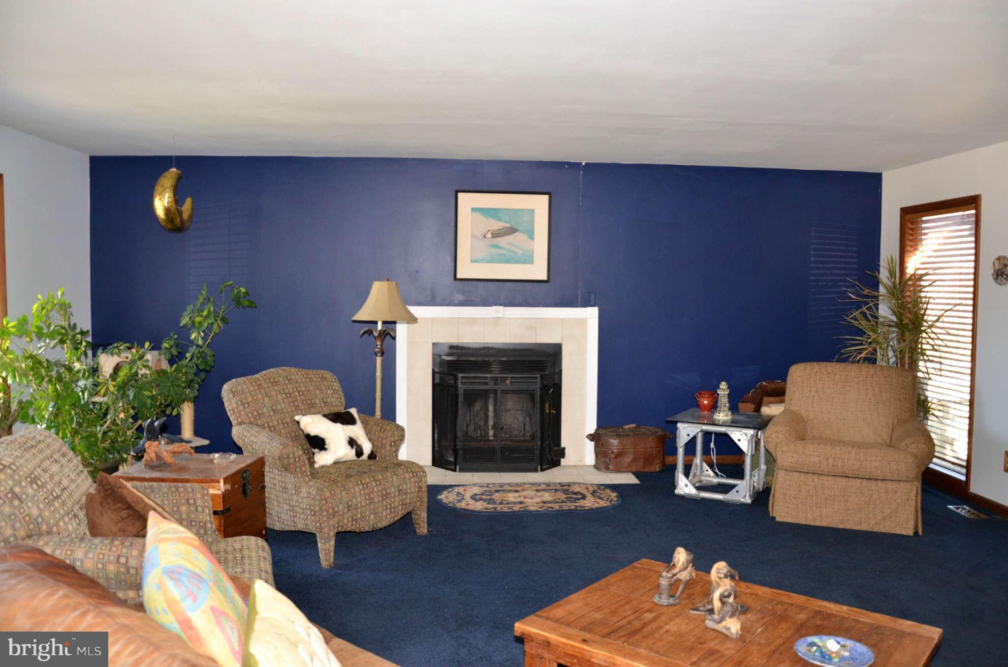 103 Parks Road Chester, MD 21619 - Photo 10 of 25 a living room with furniture and a fireplace