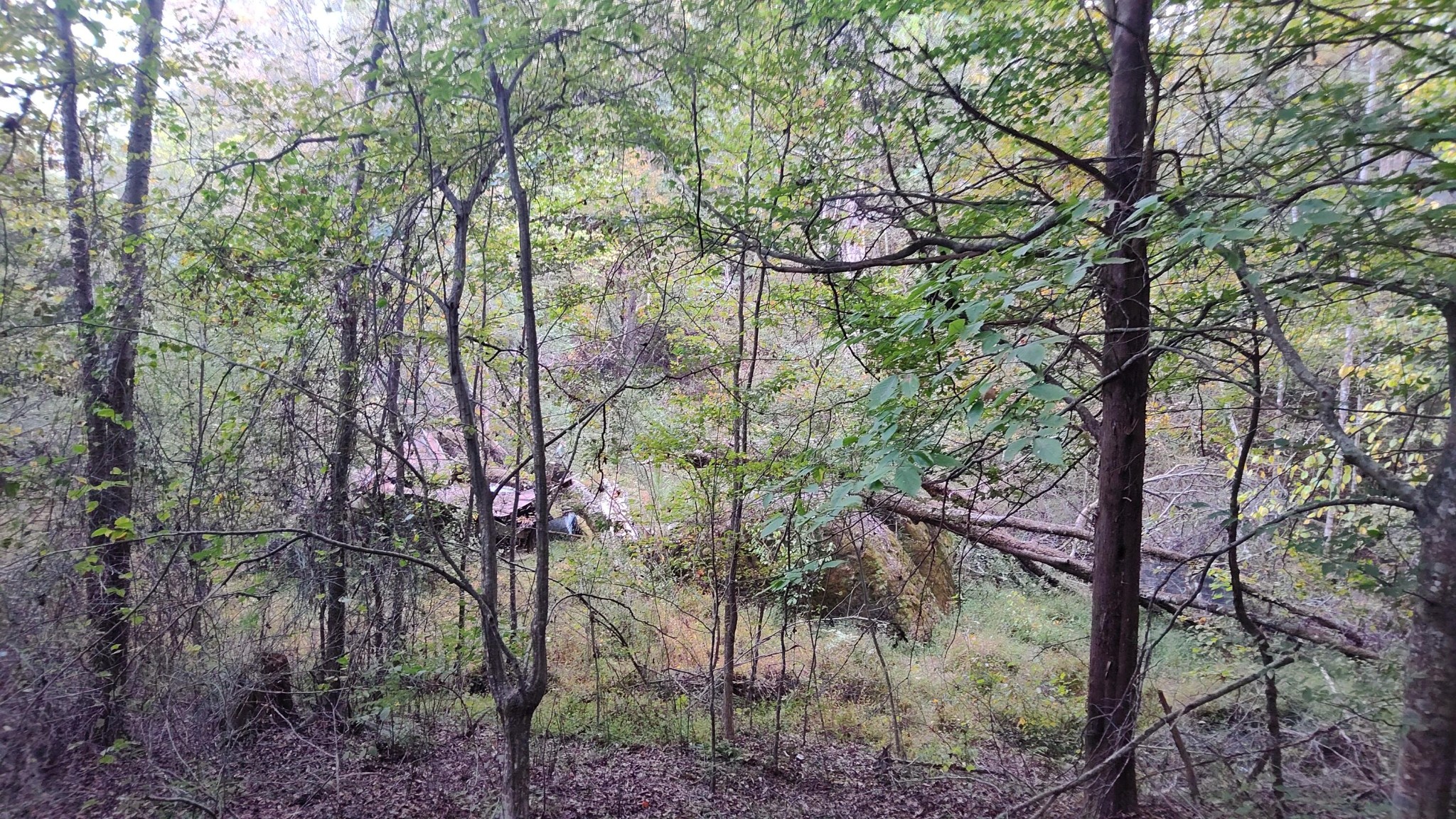 0 Summertown (8.56 Acres) Road Jasper, TN 37347 - Photo 2 of 18 a backyard of a house with lots of trees