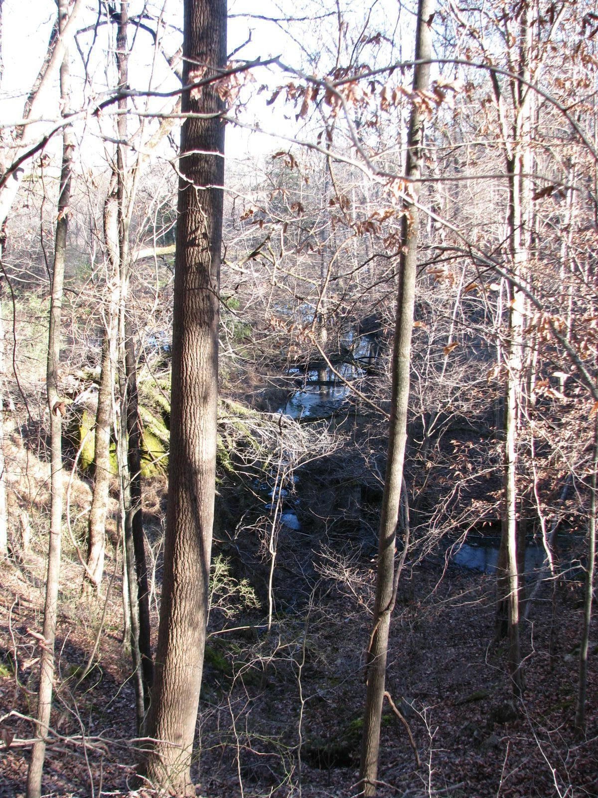 0 Summertown (8.56 Acres) Road Jasper, TN 37347 - Photo 4 of 18 a picture of street view