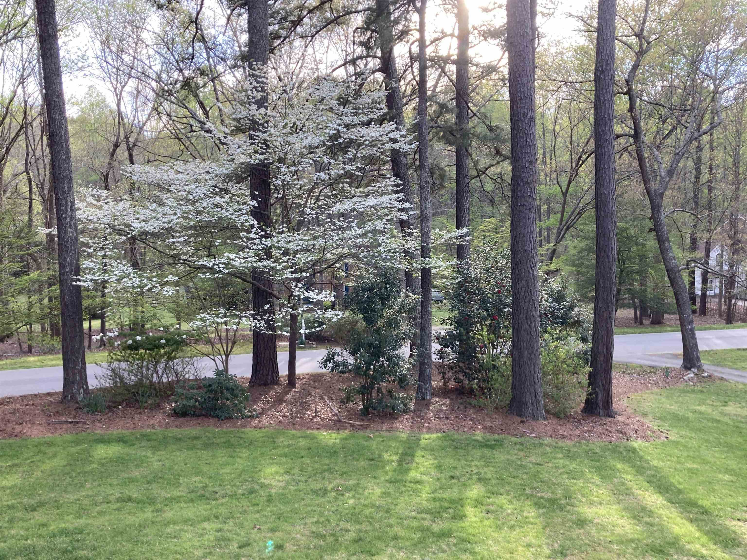 11613 Appaloosa Trail West Raleigh, NC 27613 - Photo 5 of 6 Photo 5