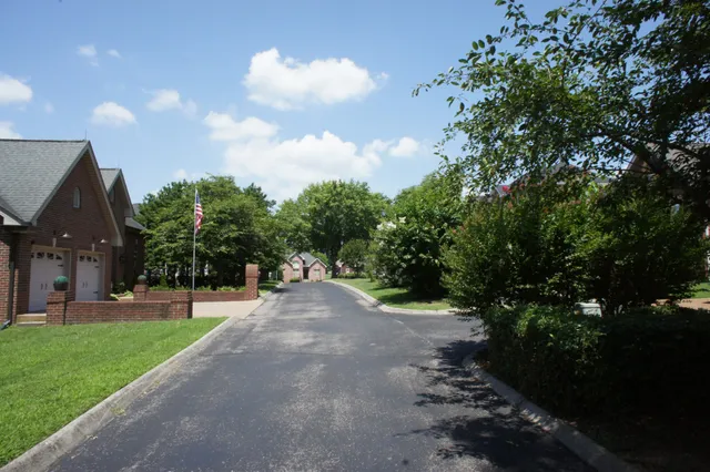 a view of a city with flower plants and large trees