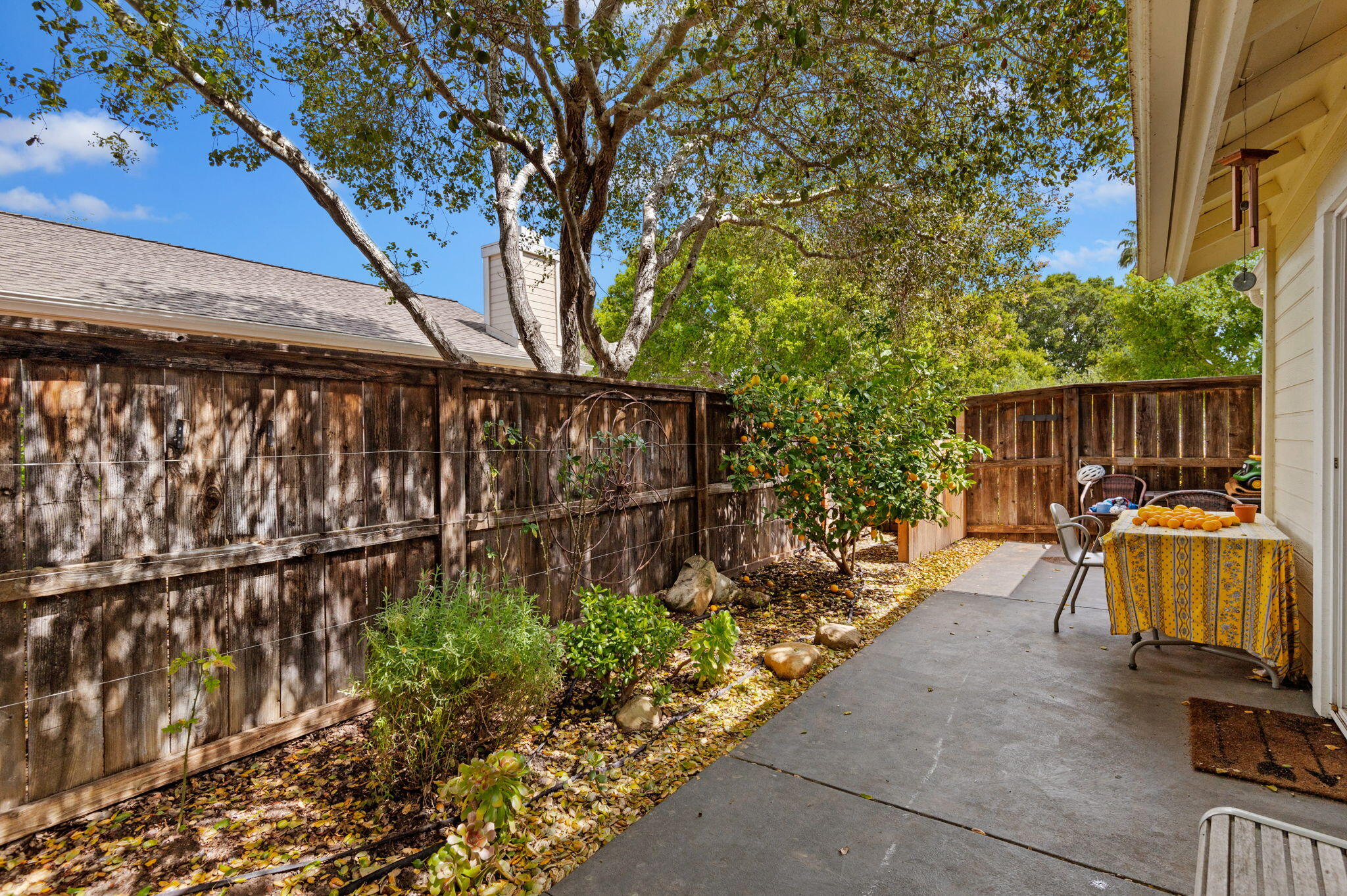 419 Barling Terrace Goleta, CA 93117 - Photo 15 of 17 a view of a back yard of the house