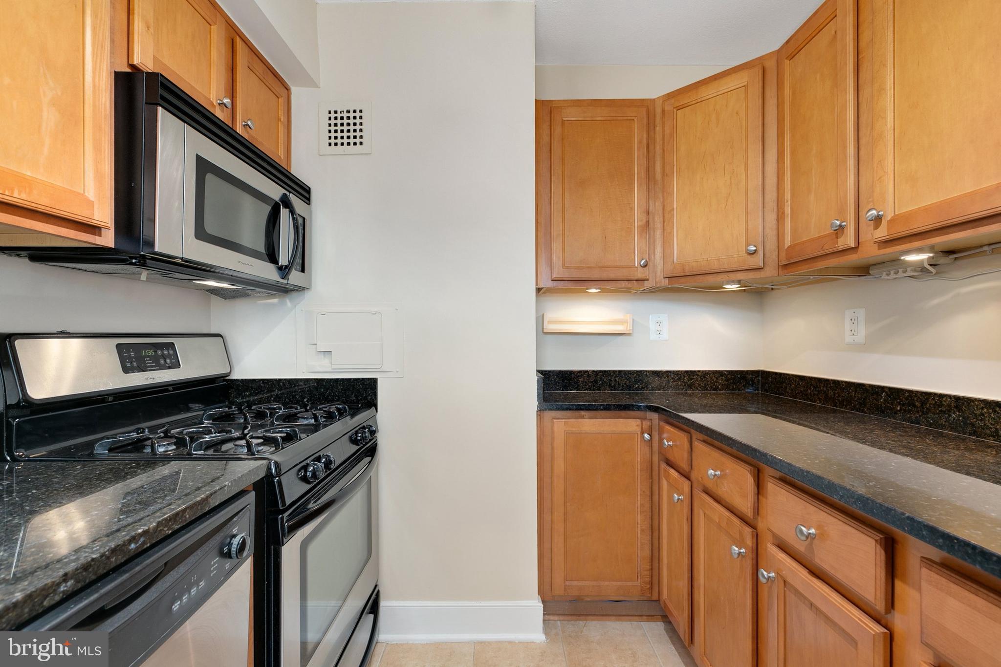 1220 Blair Mill Road, Unit 203 Silver Spring, MD 20910 - Photo 18 of 35 Gallery Image 18