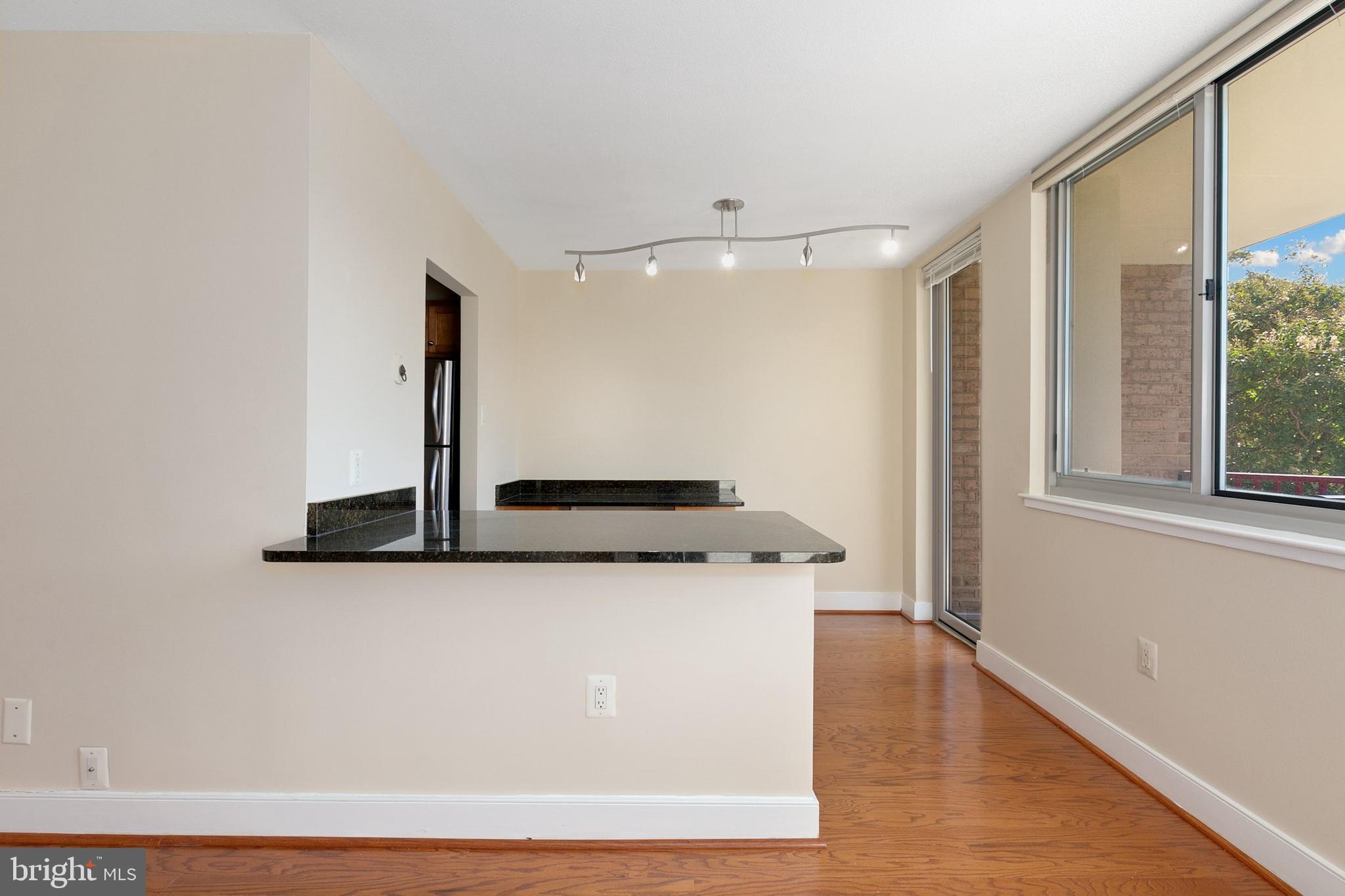 1220 Blair Mill Road, Unit 203 Silver Spring, MD 20910 - Photo 8 of 35 Gallery Image 8