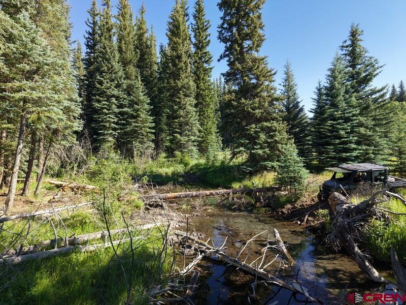 201 Golden Forest Road Bayfield, CO 81122 - Photo 32 of 37