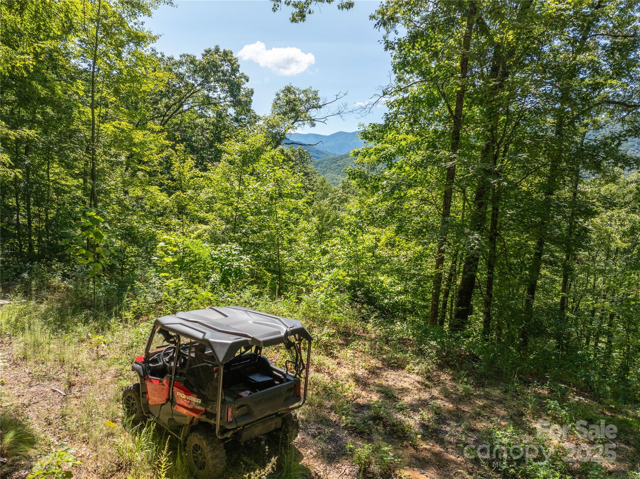 9999 Cindy Cove Road Robbinsville, NC 28771 - Photo 3 of 28