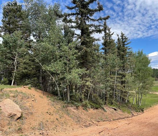 463 Anderson Road Florissant, CO 80816 - Photo 3 of 7 lot for sale