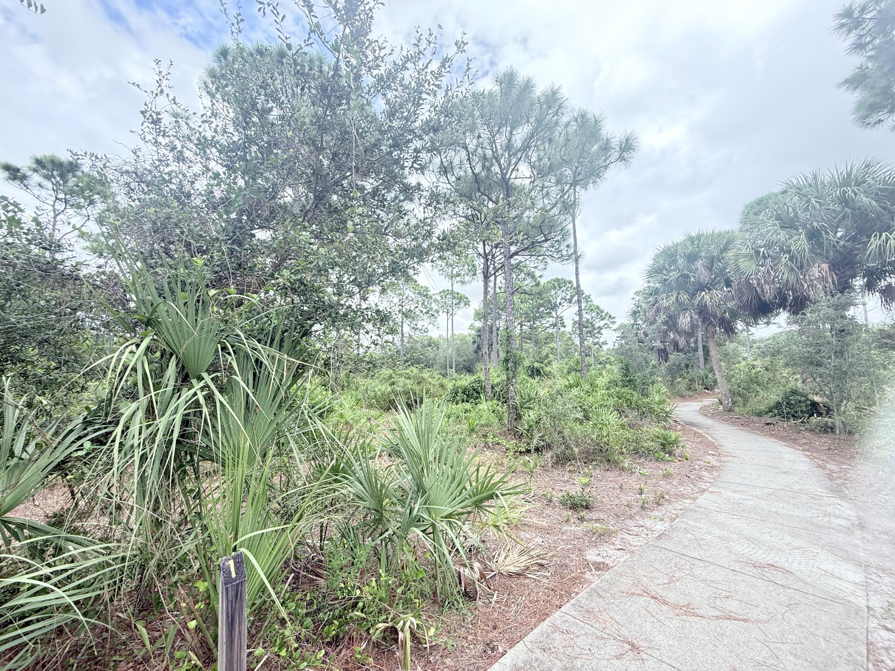 110 North Delaware Boulevard, Unit 18A Jupiter, FL 33458 - Photo 30 of 30 a view of a yard with plants and a bench