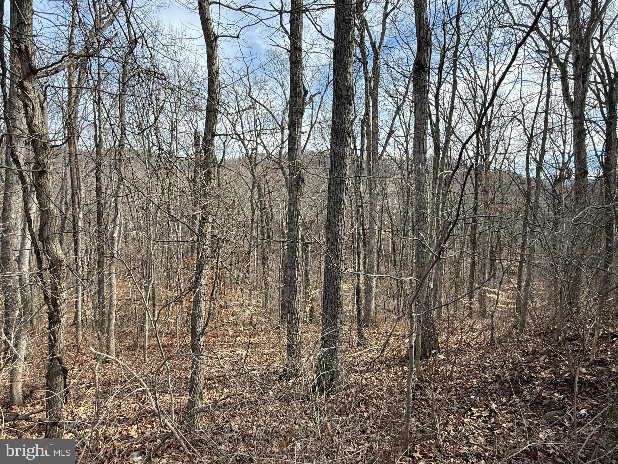 Lot 236-238 Howellsville Road Front Royal, VA 22630 - Photo 1 of 46