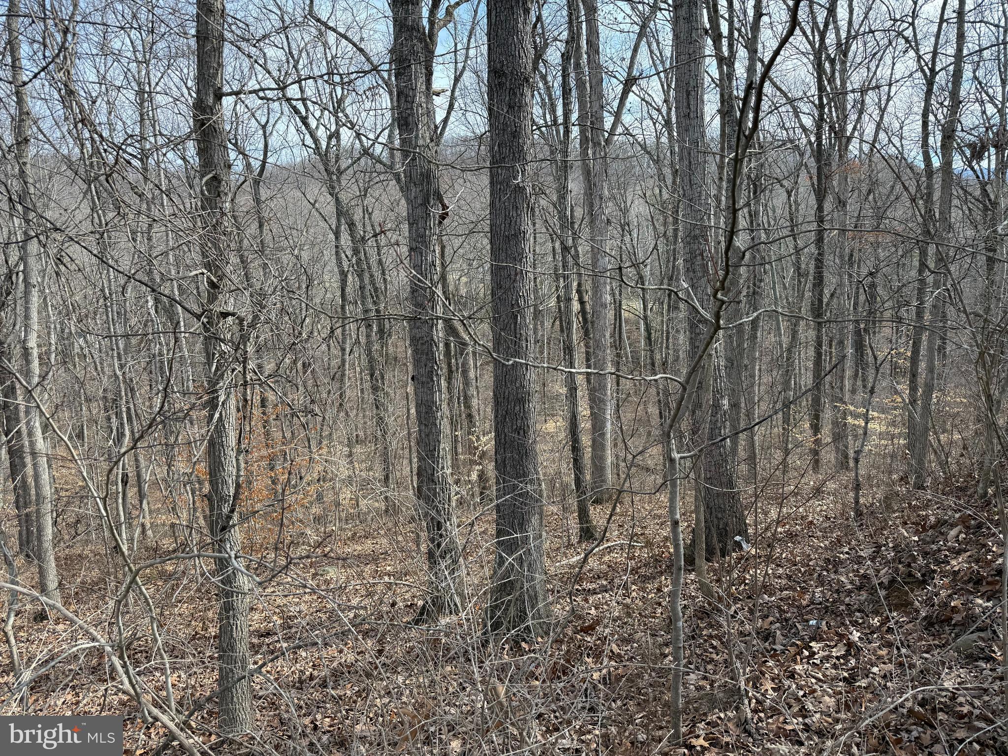 Lot 236-238 Howellsville Road Front Royal, VA 22630 - Photo 3 of 46
