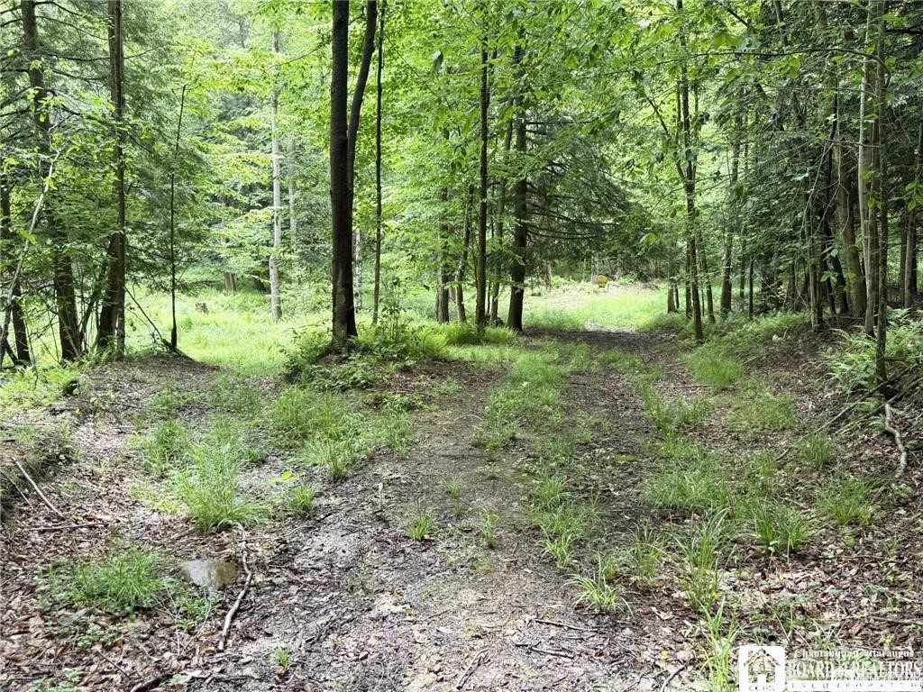 0 Luce Road Bemus Point, NY 14712 - Photo 18 of 39