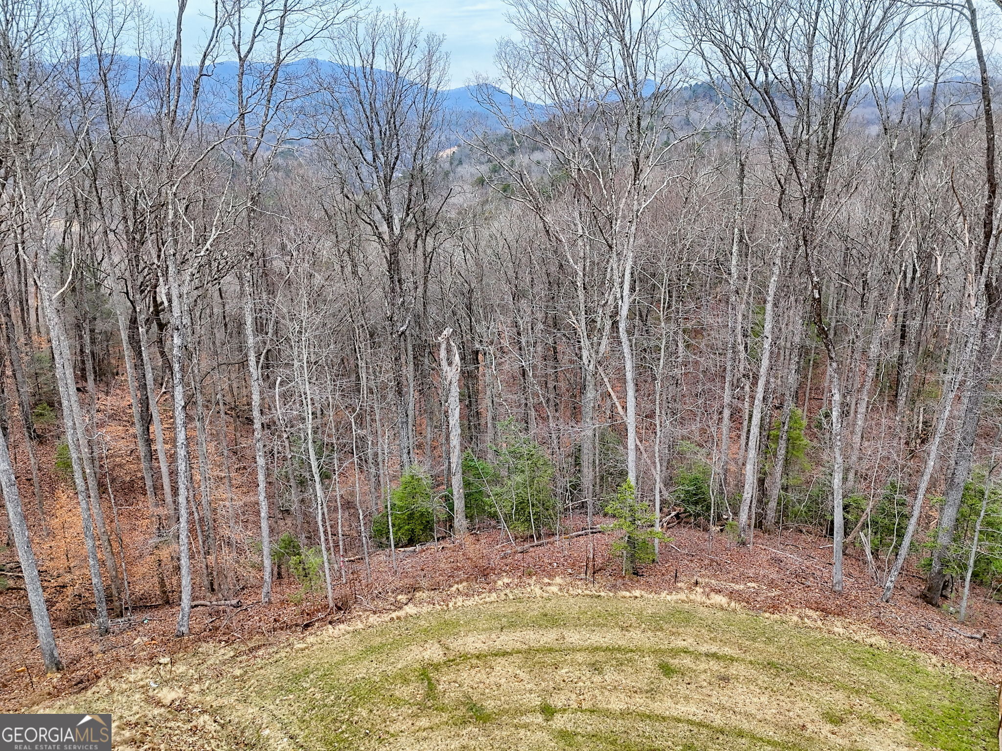 804 Settler's Ridge Road Ellijay, GA 30540 - Photo 99 of 110 Gallery Image 99