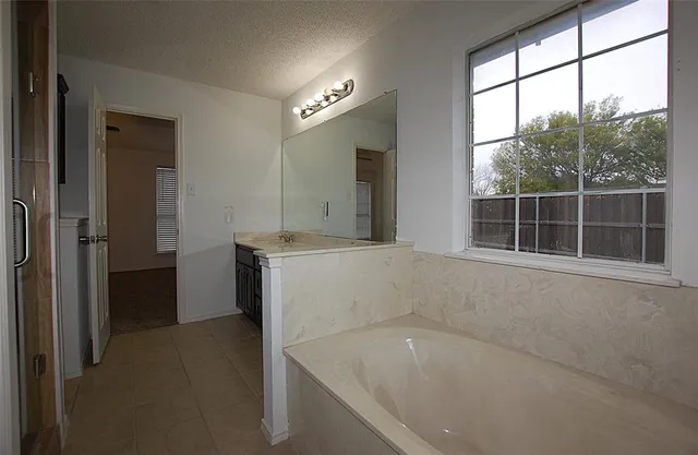 a bathroom with a tub a sink and a large mirror
