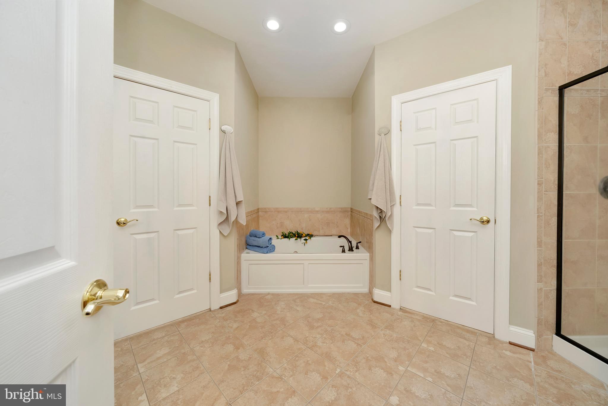 5800 Hickory Ridge Road Spotsylvania, VA 22551 - Photo 17 of 35 Owners Suite Jacuzzi Tub