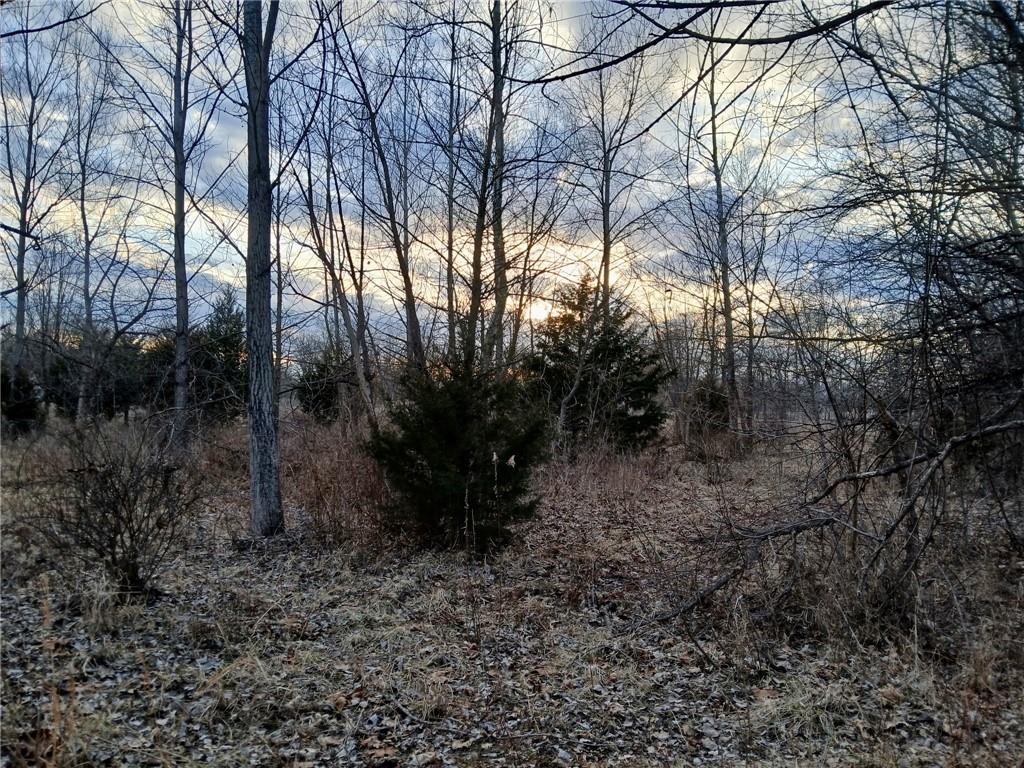 1615 Northwest 450th Road Kingsville, MO 64061 - Photo 11 of 53