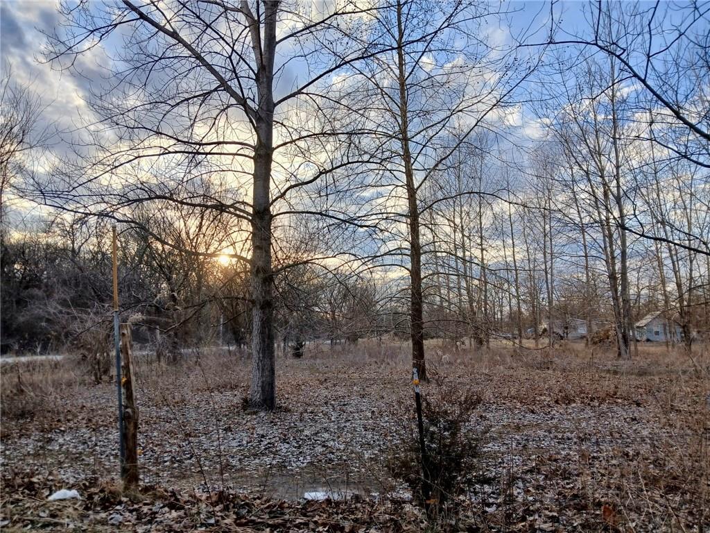 1615 Northwest 450th Road Kingsville, MO 64061 - Photo 14 of 53