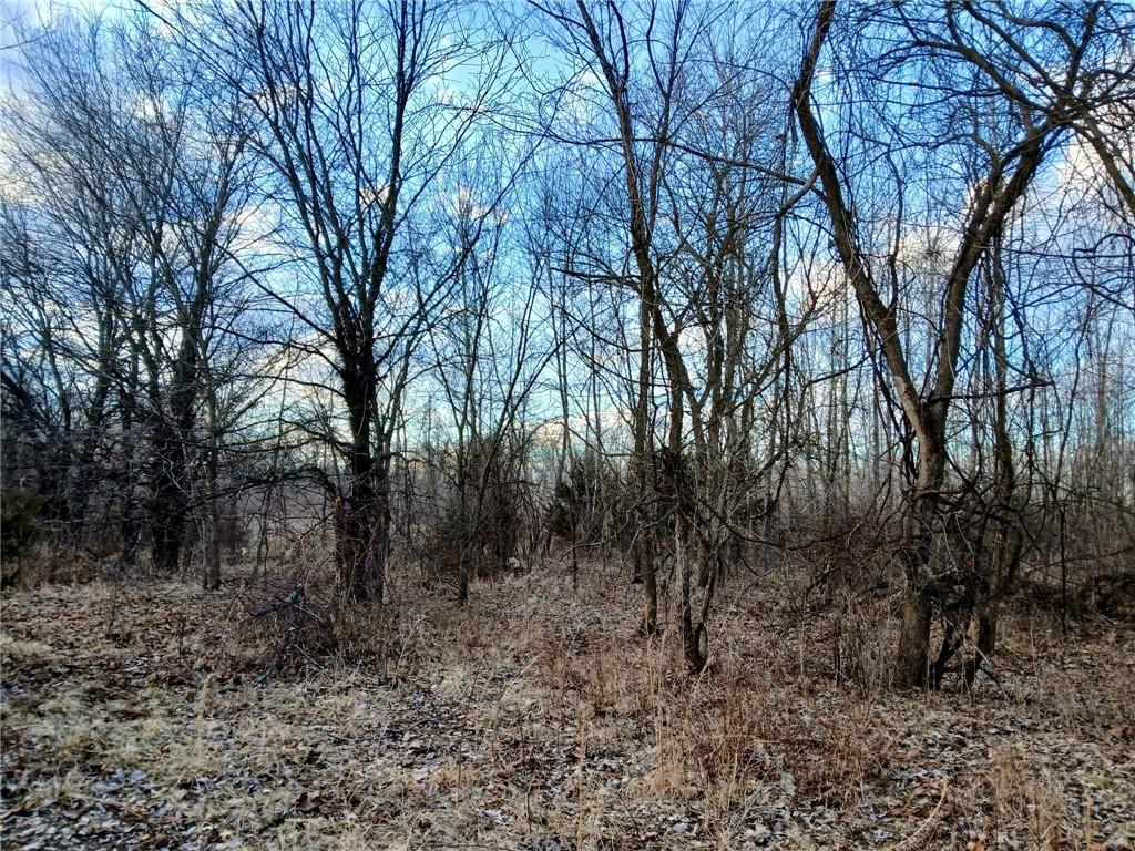 1615 Northwest 450th Road Kingsville, MO 64061 - Photo 19 of 53