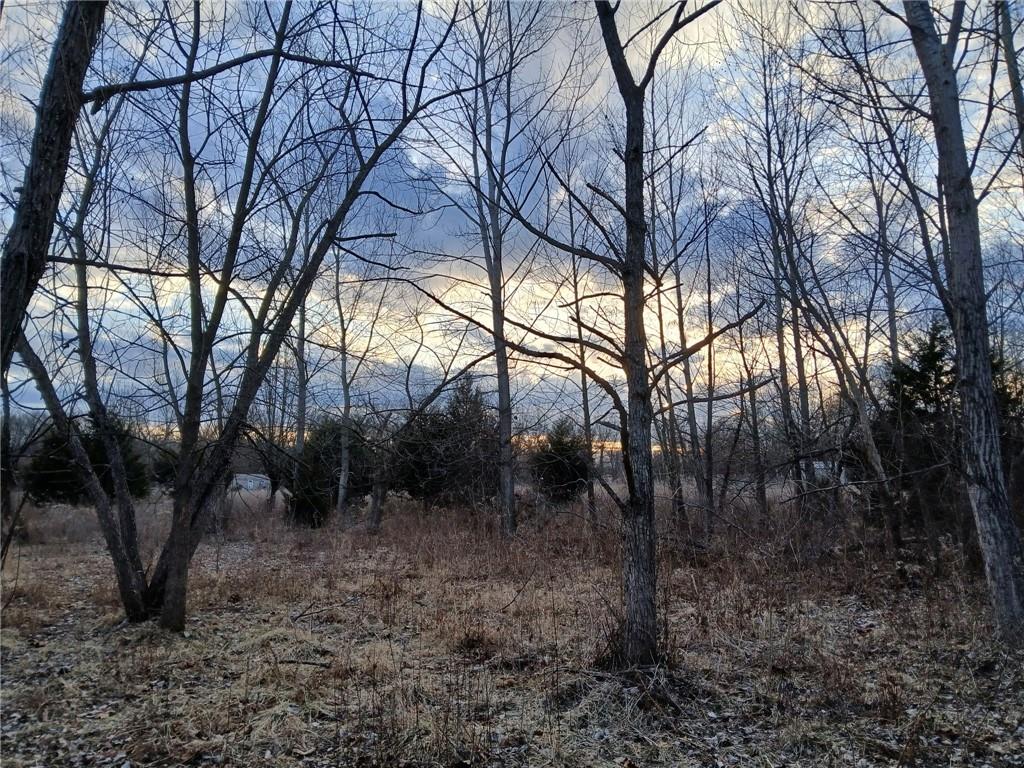 1615 Northwest 450th Road Kingsville, MO 64061 - Photo 20 of 53