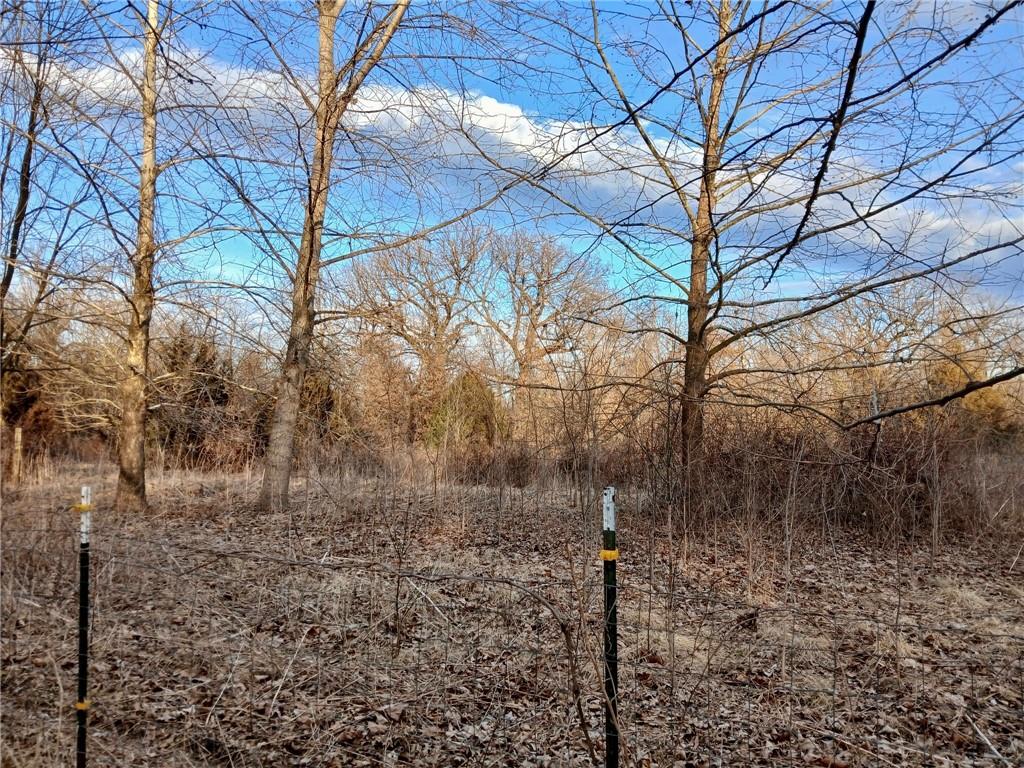 1615 Northwest 450th Road Kingsville, MO 64061 - Photo 2 of 53