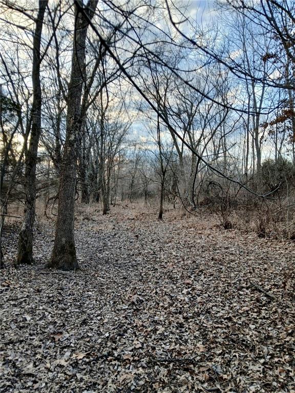 1615 Northwest 450th Road Kingsville, MO 64061 - Photo 22 of 53