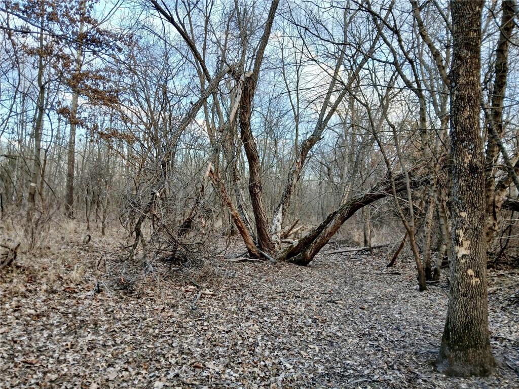 1615 Northwest 450th Road Kingsville, MO 64061 - Photo 25 of 53