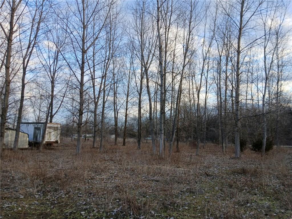 1615 Northwest 450th Road Kingsville, MO 64061 - Photo 28 of 53