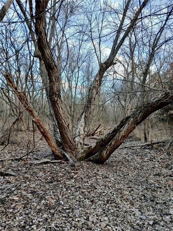 1615 Northwest 450th Road Kingsville, MO 64061 - Photo 31 of 53